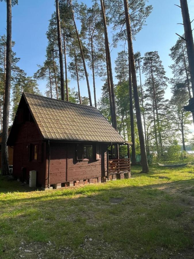 Domek Letniskowy Nad Jeziorem, Las, Mazury Wiartel Maly Luaran gambar